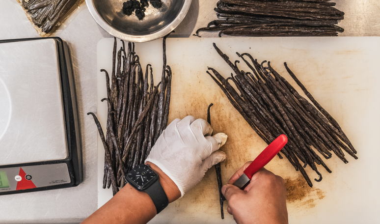 The highest quality of Sava Vanilla
