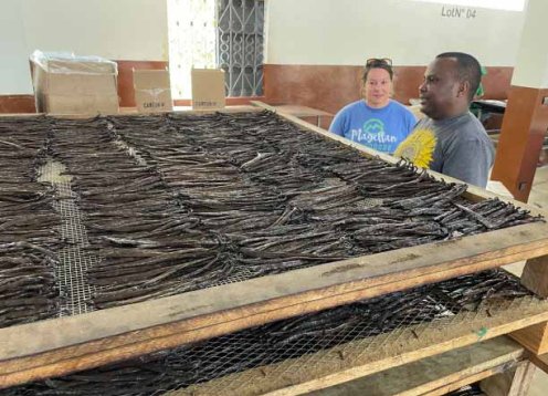 Sava Vanilla producing the highest quality