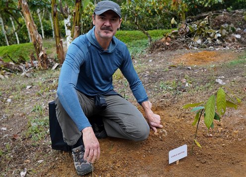 Carlo Gattini planting chocolate tree at Varhona farm in 2025