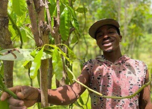 Sava Vanilla Company focuses on partnering with the Malagasy growers