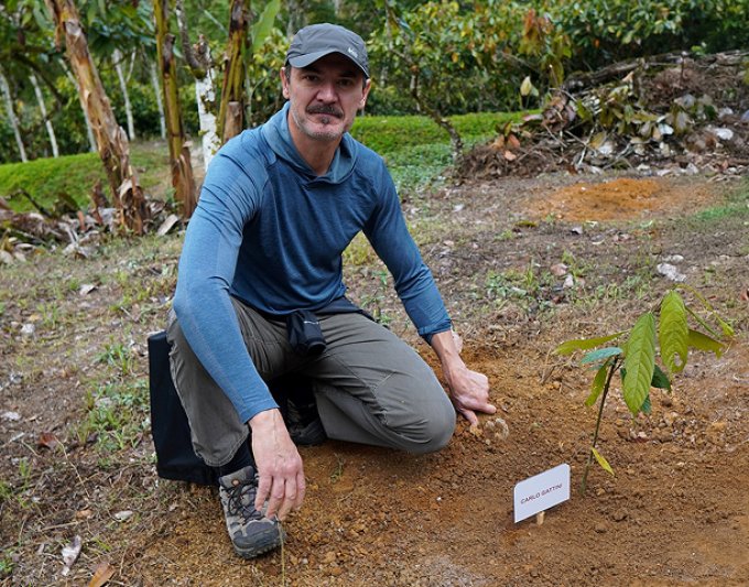 Carlo Gattini planting chocolate tree at Varhona farm in 2025