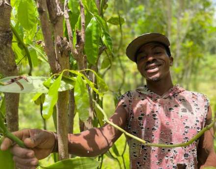 Sava Vanilla Company focuses on partnering with the Malagasy growers